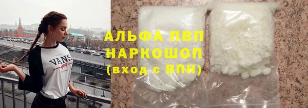 дживик Бородино