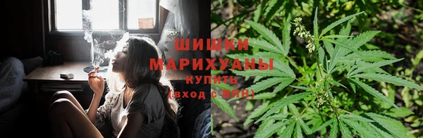 МДПВ Богданович